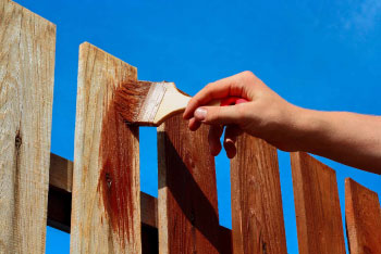 Fence Painting